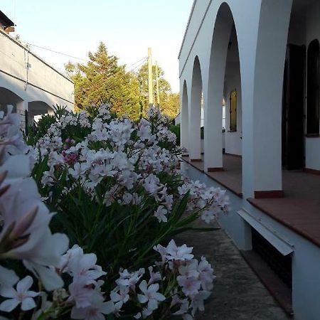 Il Lentisco Marina di Mancaversa Exterior foto