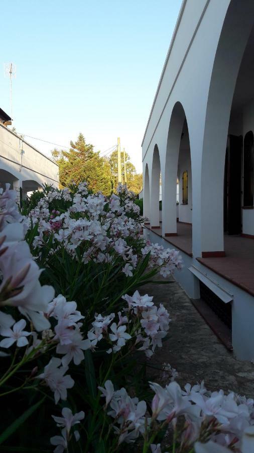 Il Lentisco Marina di Mancaversa Exterior foto